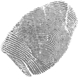 TKKG Internetseite - Fingerprint